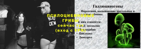 СК Михайлов