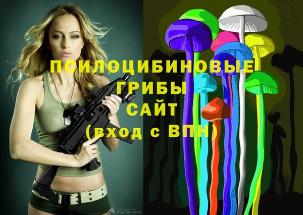 MDMA Premium VHQ Горнозаводск