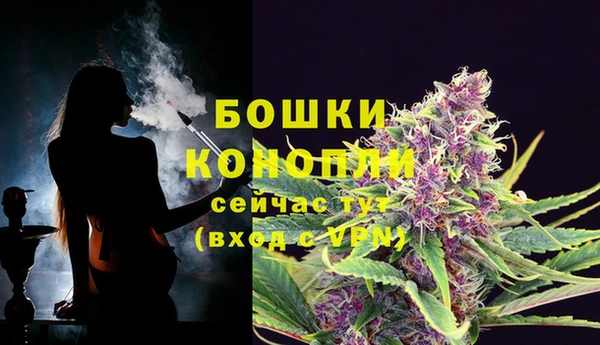 MDMA Premium VHQ Горнозаводск